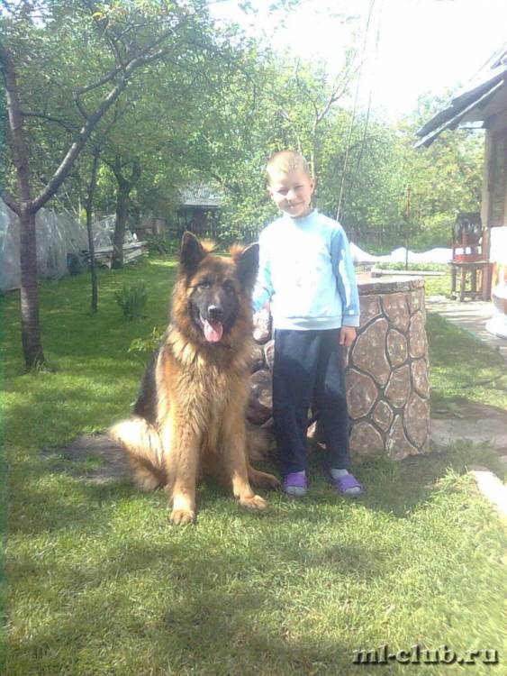 post-19070-0-86584500-1426099188_thumb.j