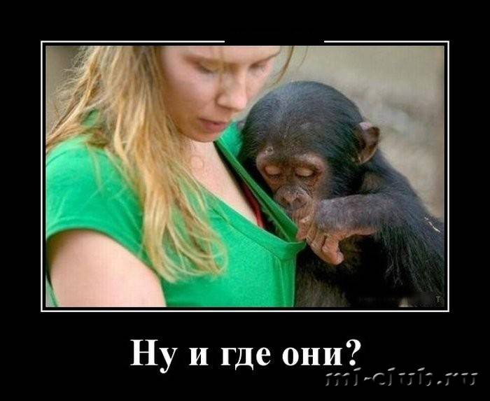 post-14972-0-39635400-1458393596_thumb.j