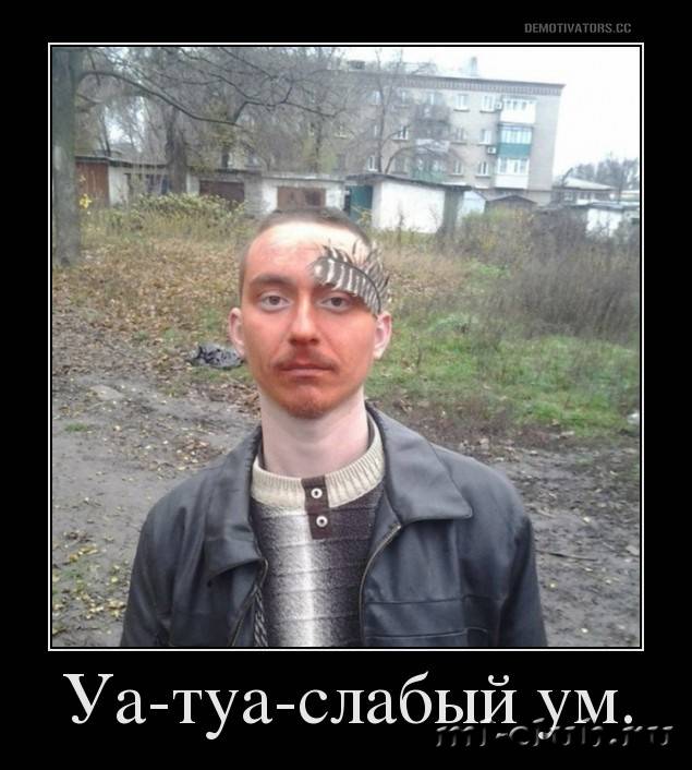 post-20813-0-00817500-1458641112_thumb.j