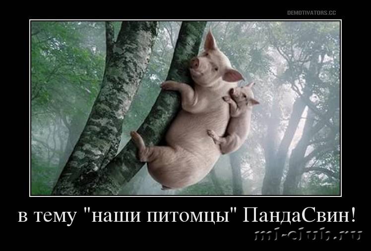 post-20813-0-02327900-1458380272_thumb.j