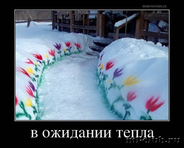post-20813-0-10690700-1458725870_thumb.j