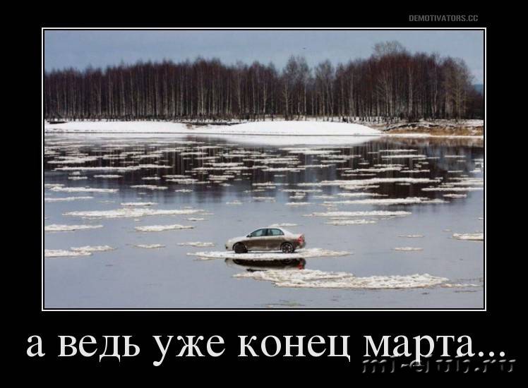 post-20813-0-17721000-1458725891_thumb.j