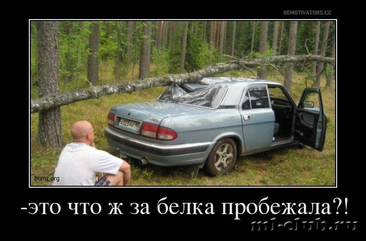 post-20813-0-21704900-1458974777_thumb.j