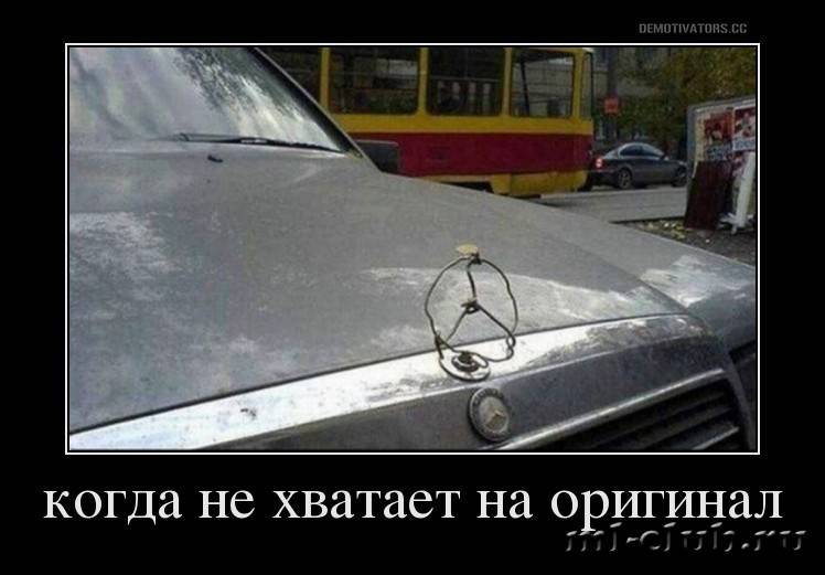 post-20813-0-43973200-1458641112_thumb.j
