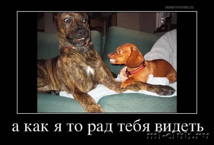 post-20813-0-45652300-1458641117_thumb.j
