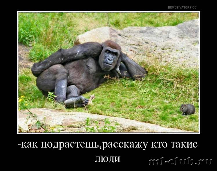 post-20813-0-46153900-1458641100_thumb.j