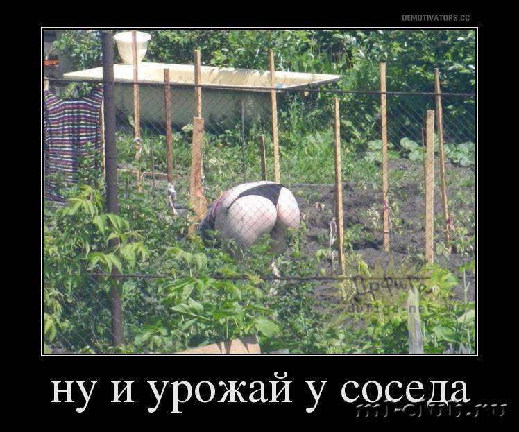 post-20813-0-47410300-1458641128_thumb.j