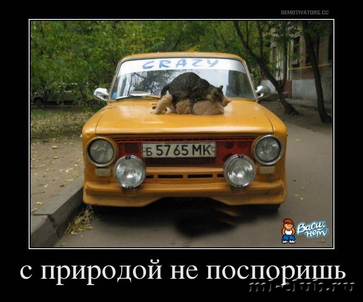 post-20813-0-60673900-1458725882_thumb.j