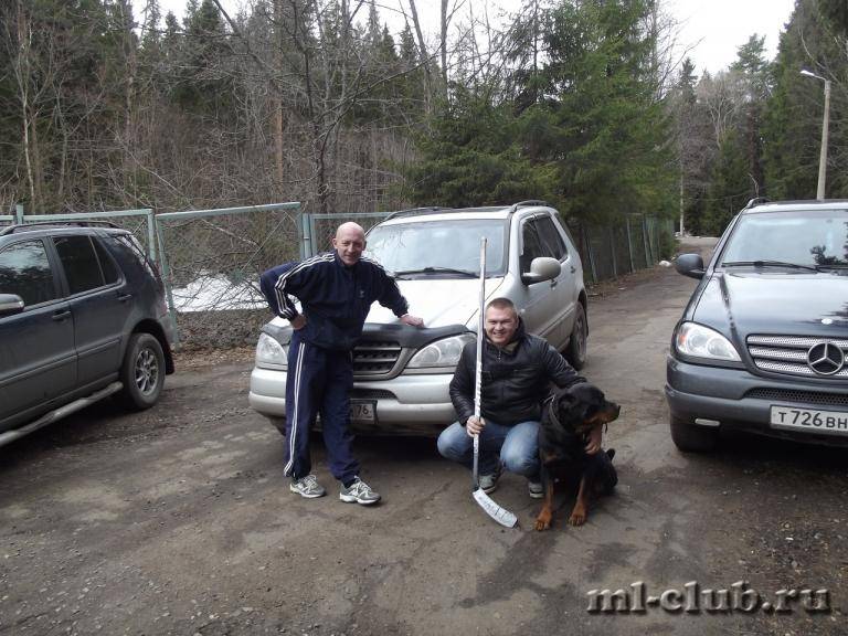 post-8900-0-39226200-1367163254_thumb.jp