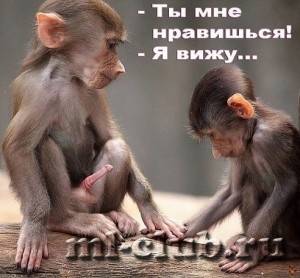 post-12895-0-69057700-1396518401_thumb.j