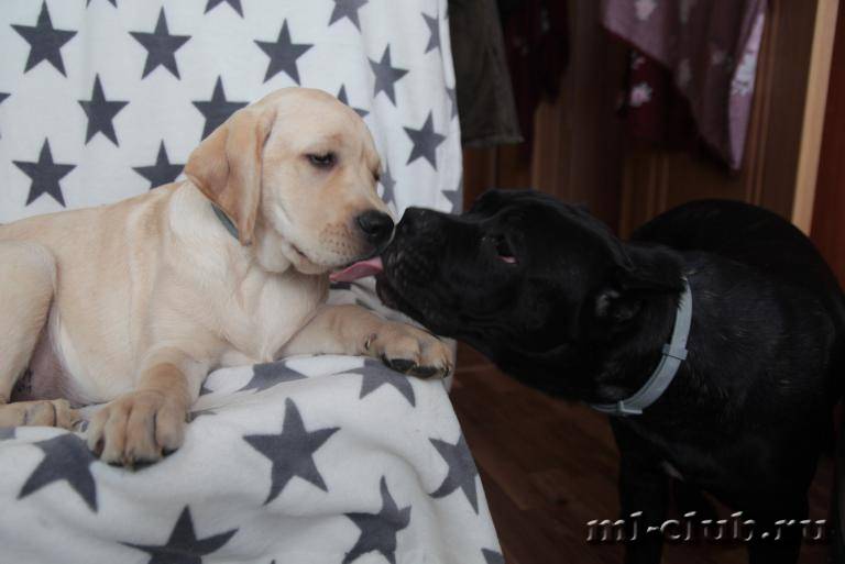 post-12493-0-00049200-1461613538_thumb.j