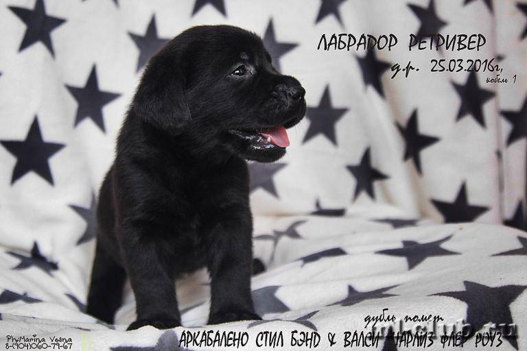 post-12493-0-06051400-1461613239_thumb.j