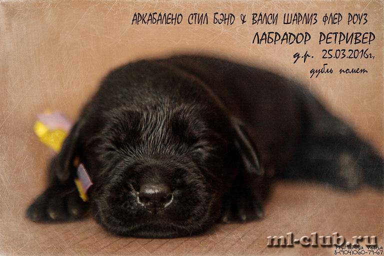 post-12493-0-11670500-1459883105_thumb.j