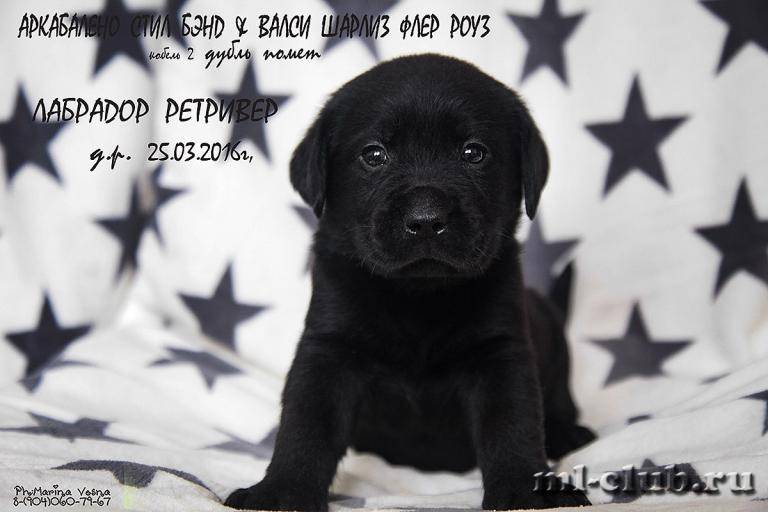 post-12493-0-12248900-1461613331_thumb.j