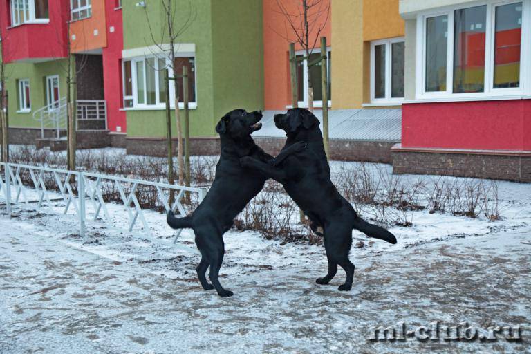 post-12493-0-37760800-1459883269_thumb.j