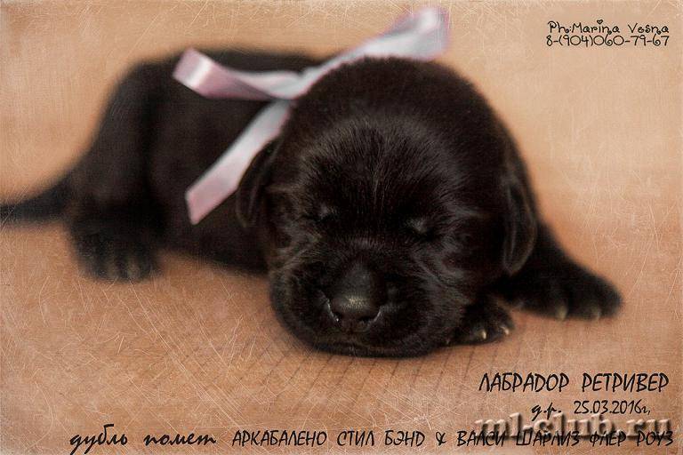 post-12493-0-70031500-1459883099_thumb.j