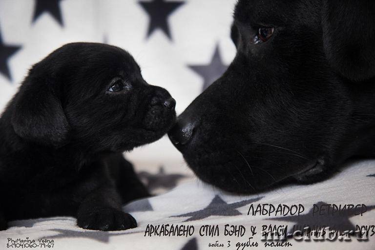 post-12493-0-75865500-1461613167_thumb.j