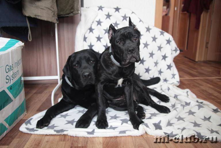 post-12493-0-78975900-1461613478_thumb.j