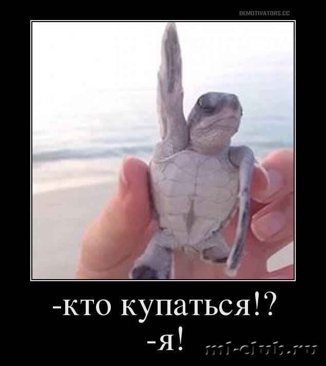 post-20813-0-03242900-1460656362_thumb.j