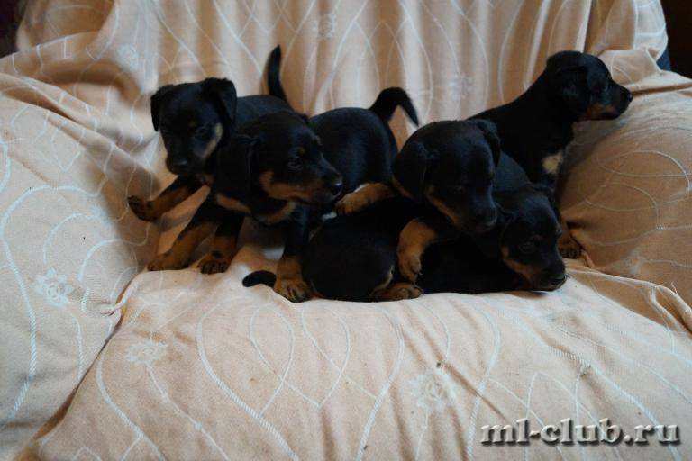 post-3031-0-59475100-1459804115_thumb.jp