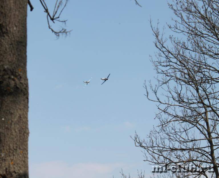 post-4360-0-08694900-1368473383_thumb.jp