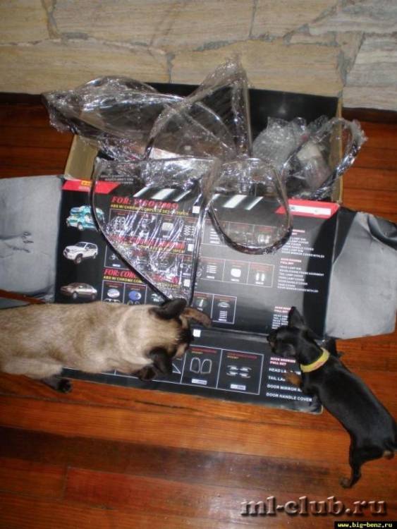 post-8372-0-83892100-1369951498_thumb.jp