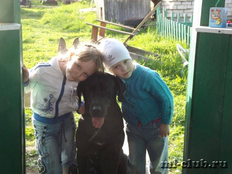 post-8900-0-89147000-1369307235_thumb.jp