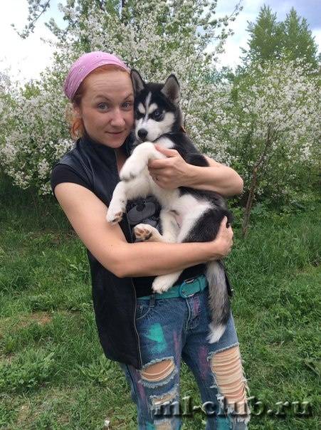 post-12493-0-20902900-1431634595_thumb.j