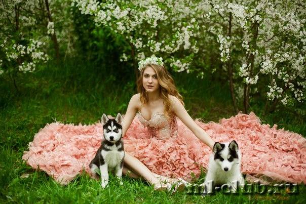 post-12493-0-21529500-1431635339_thumb.j