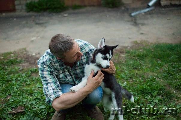 post-12493-0-26299800-1431634624_thumb.j