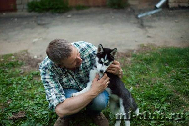 post-12493-0-37051900-1431634590_thumb.j