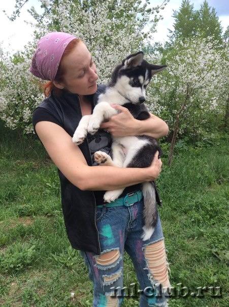 post-12493-0-58504200-1431634636_thumb.j