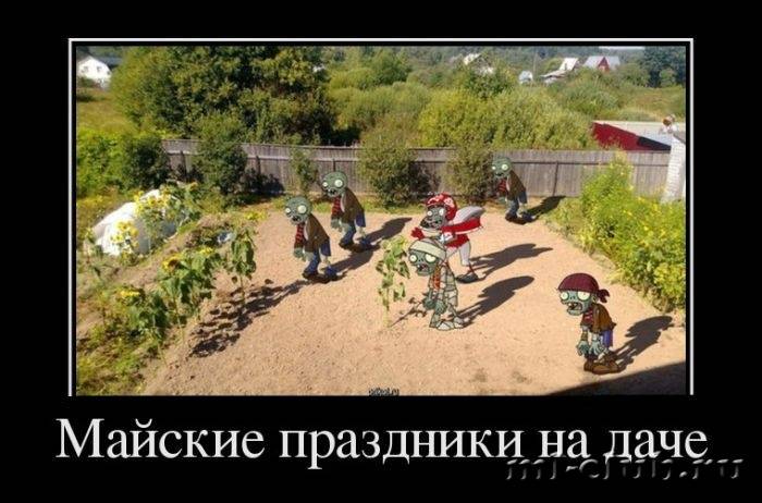 post-12751-0-99842500-1431196435_thumb.j