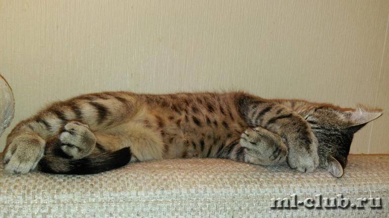 post-13620-0-13039900-1433072538_thumb.j