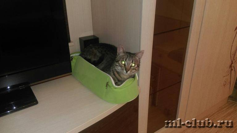 post-13620-0-30916000-1433072684_thumb.j