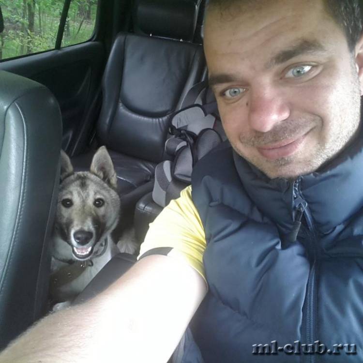 post-15153-0-26884700-1432097557_thumb.j