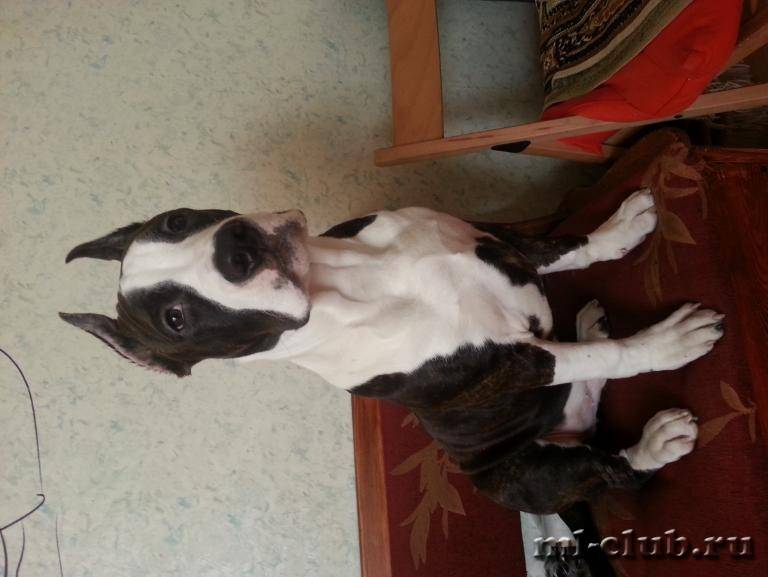 post-1699-0-35333400-1432097724_thumb.jp