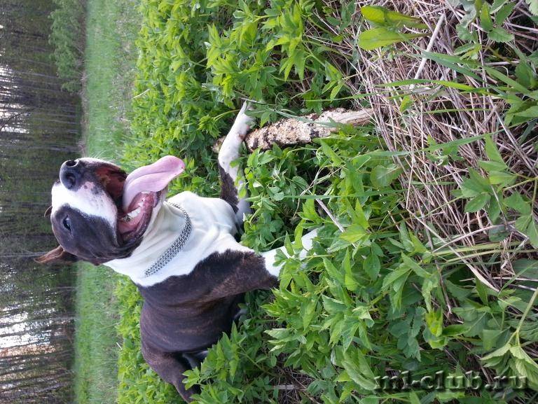 post-1699-0-38223000-1432097783_thumb.jp