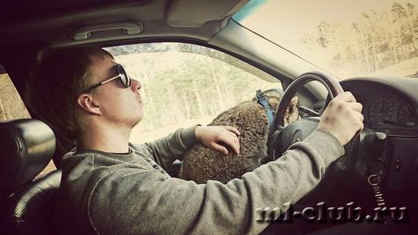 post-18341-0-27862700-1432210055_thumb.j