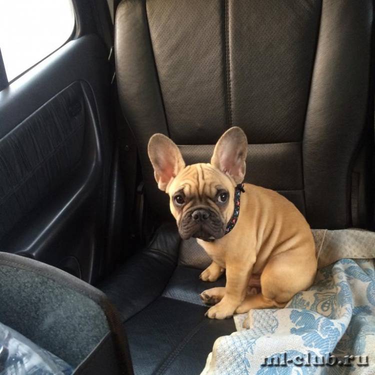 post-10733-0-67091300-1462565635_thumb.j