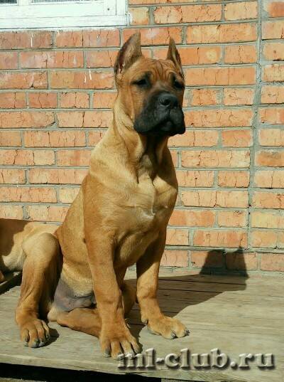 post-12493-0-16969500-1464215195_thumb.j