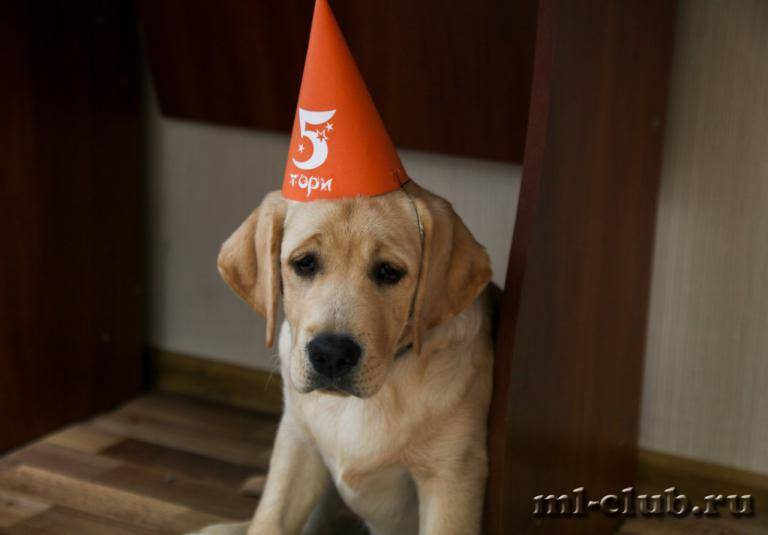 post-12493-0-21986400-1462558191_thumb.j