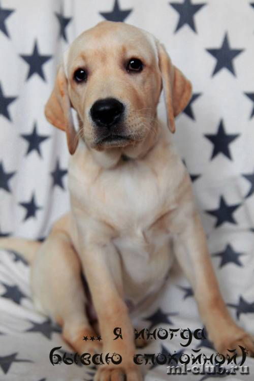 post-12493-0-29754900-1462558401_thumb.j