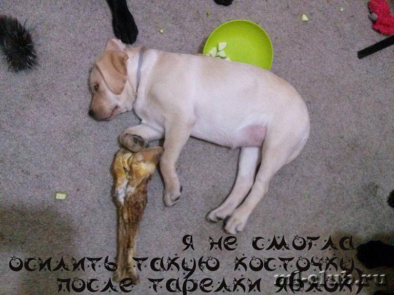 post-12493-0-30262300-1462558530_thumb.j