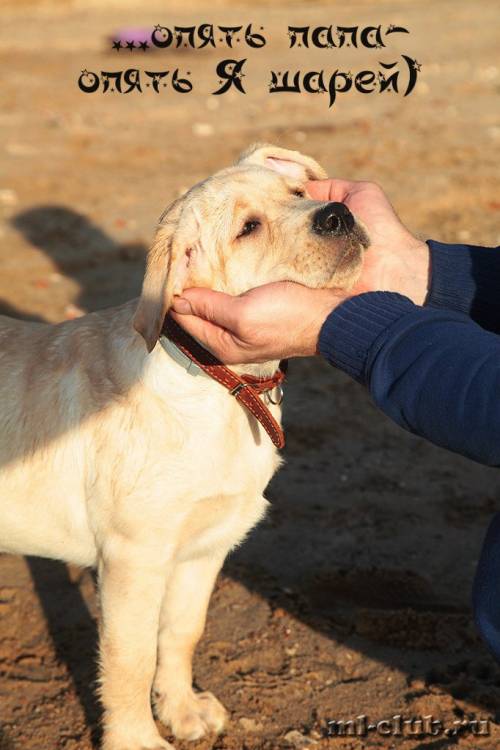 post-12493-0-36385100-1462558361_thumb.j