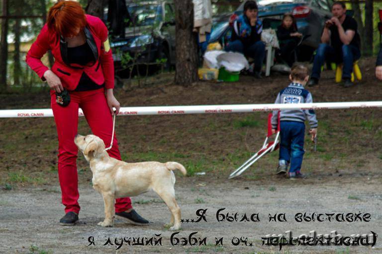 post-12493-0-40386800-1462558250_thumb.j