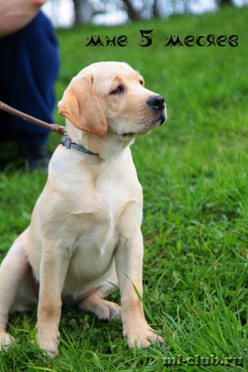 post-12493-0-41752300-1462558228_thumb.j