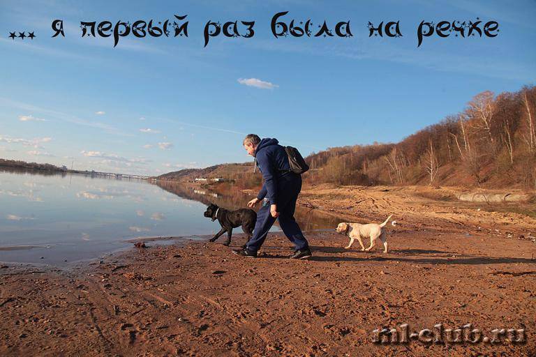 post-12493-0-43834400-1462558417_thumb.j