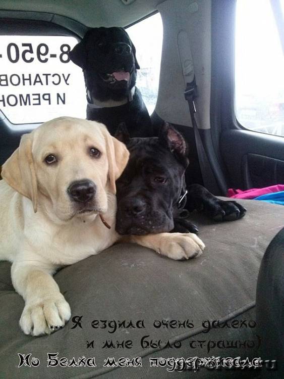 post-12493-0-47159300-1462558544_thumb.j