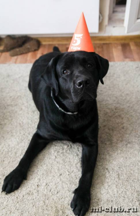 post-12493-0-49947000-1462558208_thumb.j